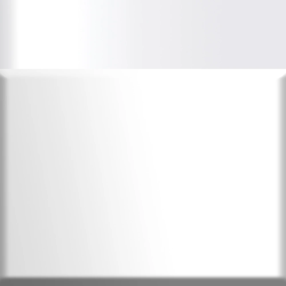 White with Shiny White Trim