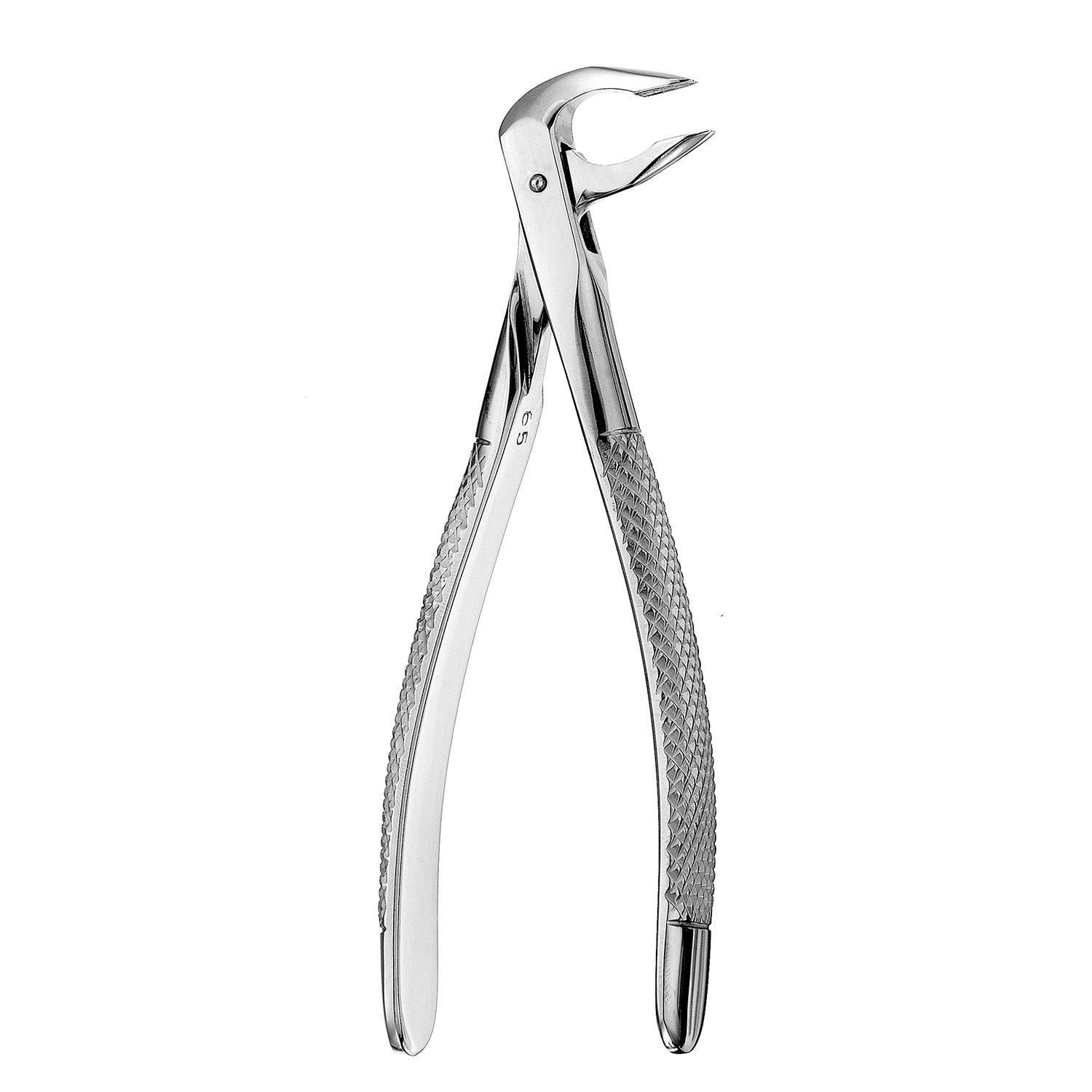 Forcep Apical Lower Anterior #FX74N, 6" 15cm