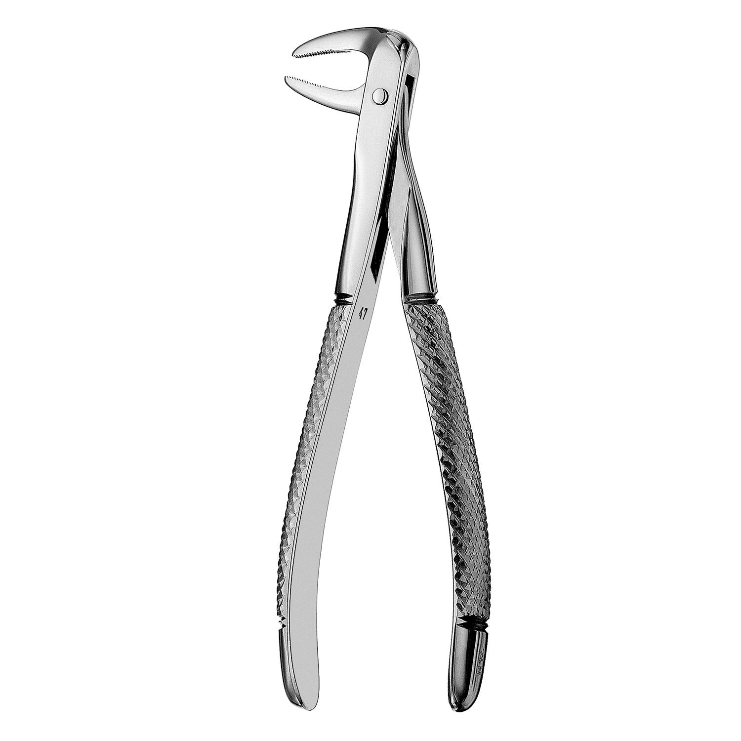 Forcep Lower Root #FX74N Narrow Beak 6" 15cm Serrated