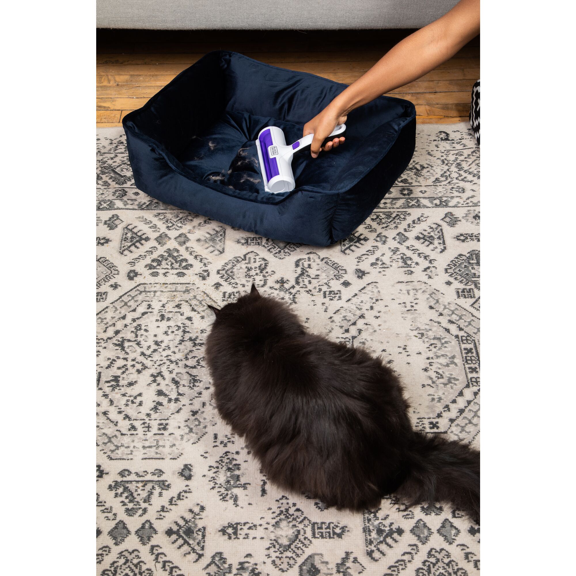 Person removing cat hair from a cat bed with the BLACK+DECKER Pet Hair Remover and a cat next to the bed.