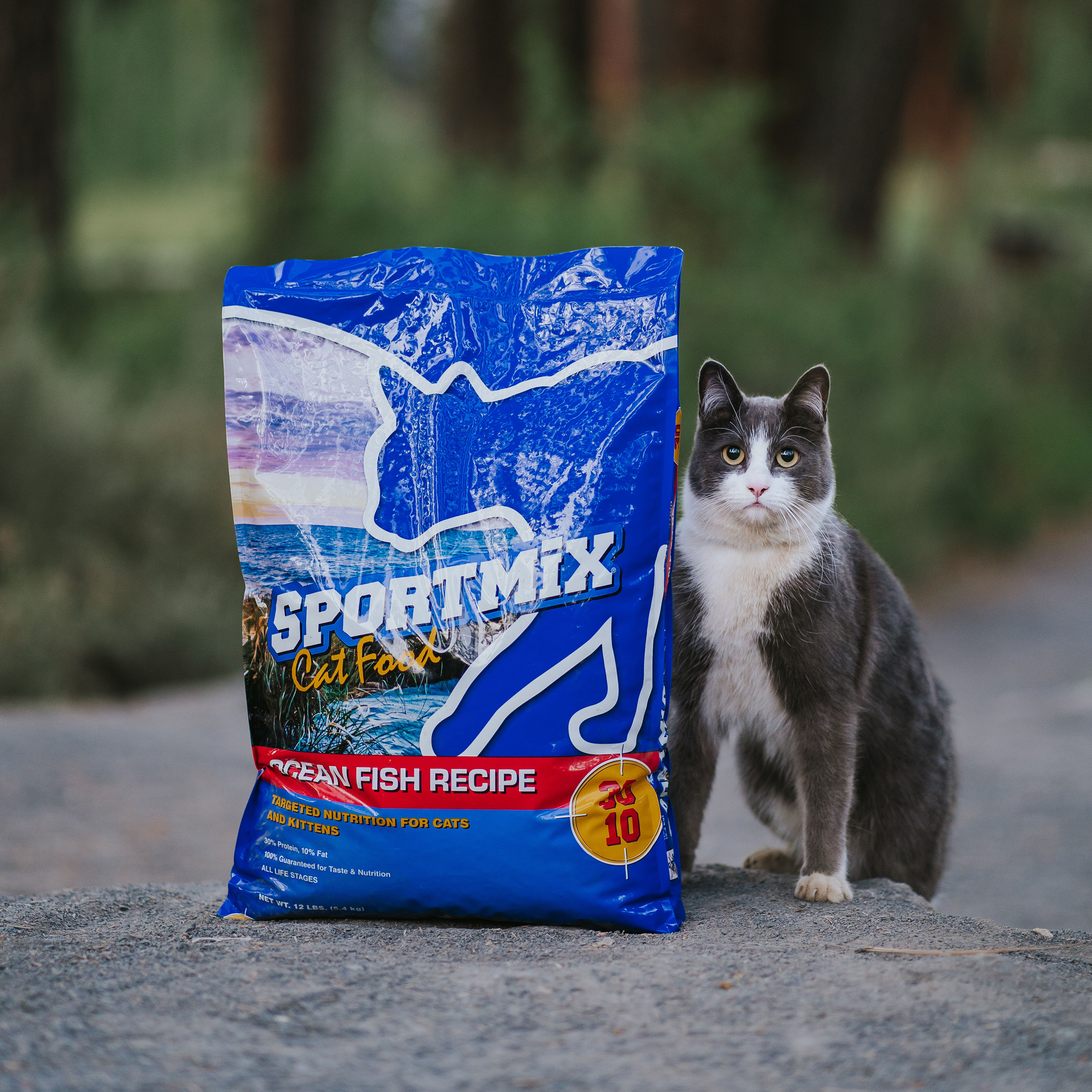 Photo of Product Bag