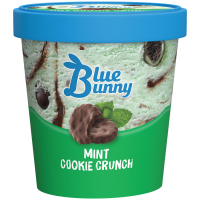 Mint Cookie Crunch Frozen Dessert, 14 fl oz