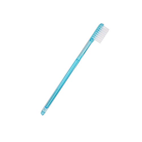 Happy Morning® Disposable Toothbrush with Mint Xylitol - 50/Box