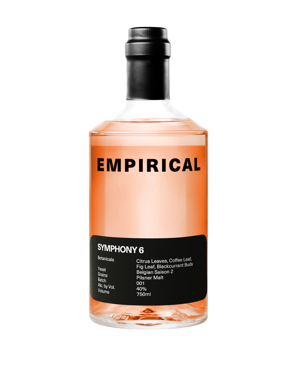 EMPIRICAL SYMPHONY 6