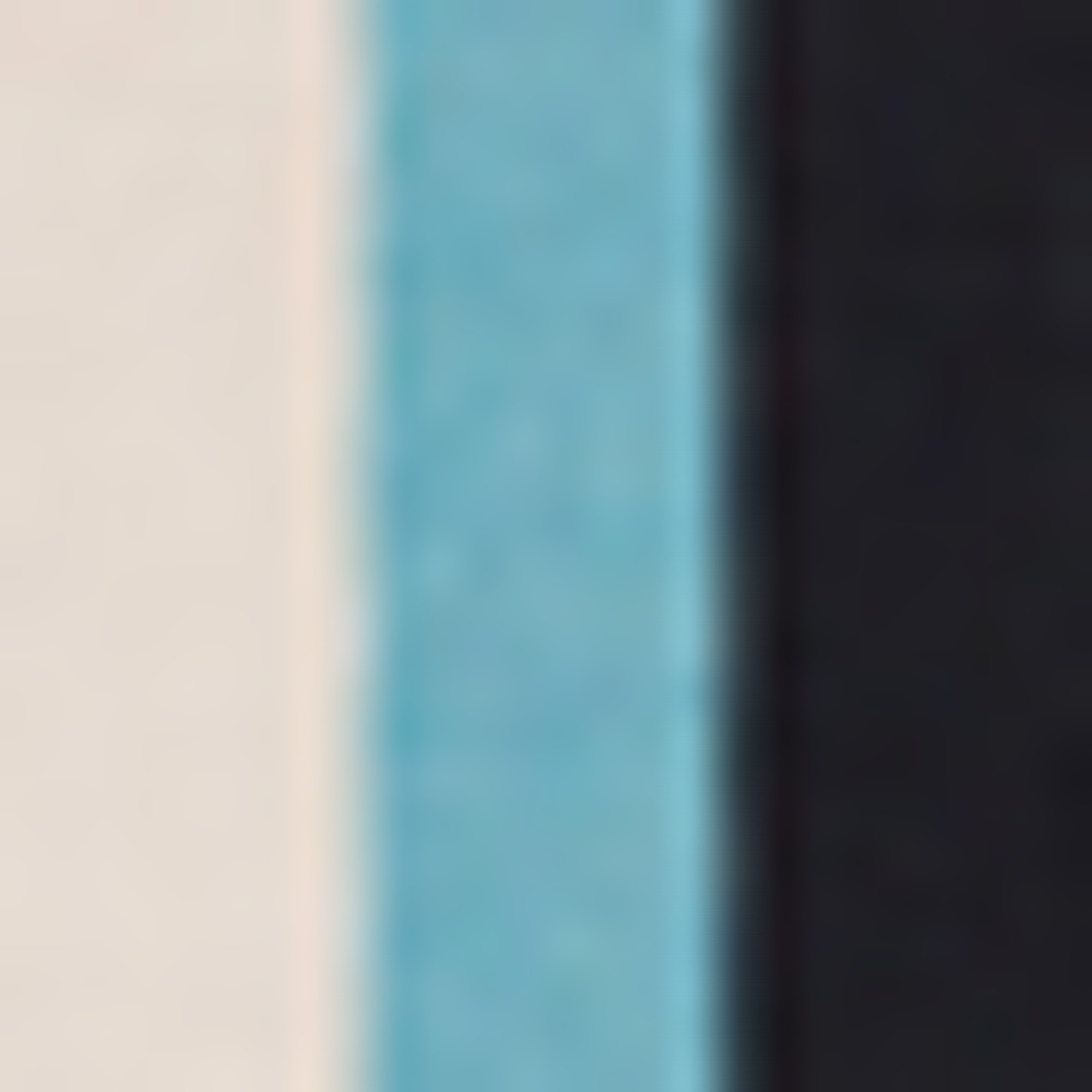 primary color