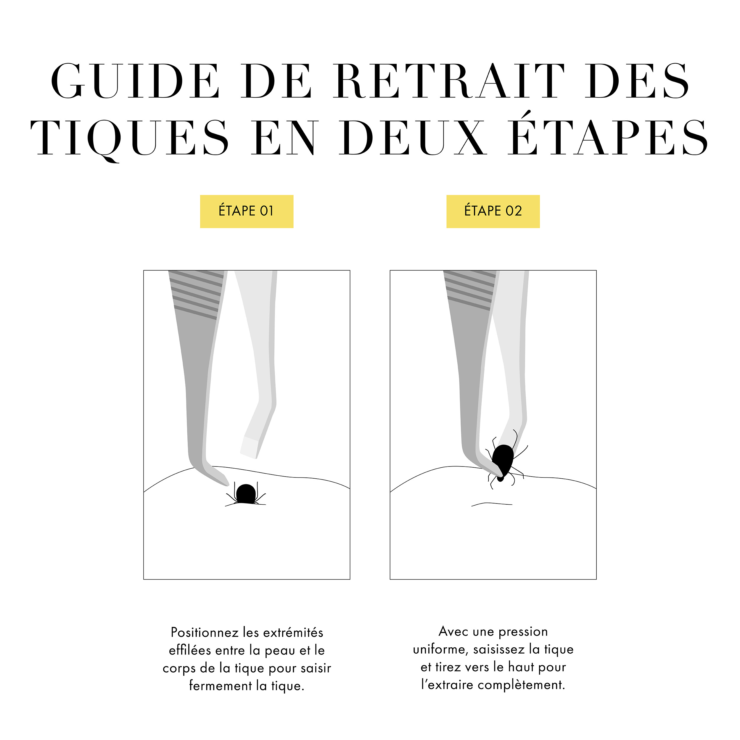 Guide de retrait des tiques en deux étapes Étape 1 positionner les pointes du tapeur entre la peau et le corps de la tique pour saisir fermement la tique Étape 2, saisir la tique et tirer vers le haut pour l'extraire complètement
