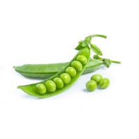 Hydrolyzed Pea Protein