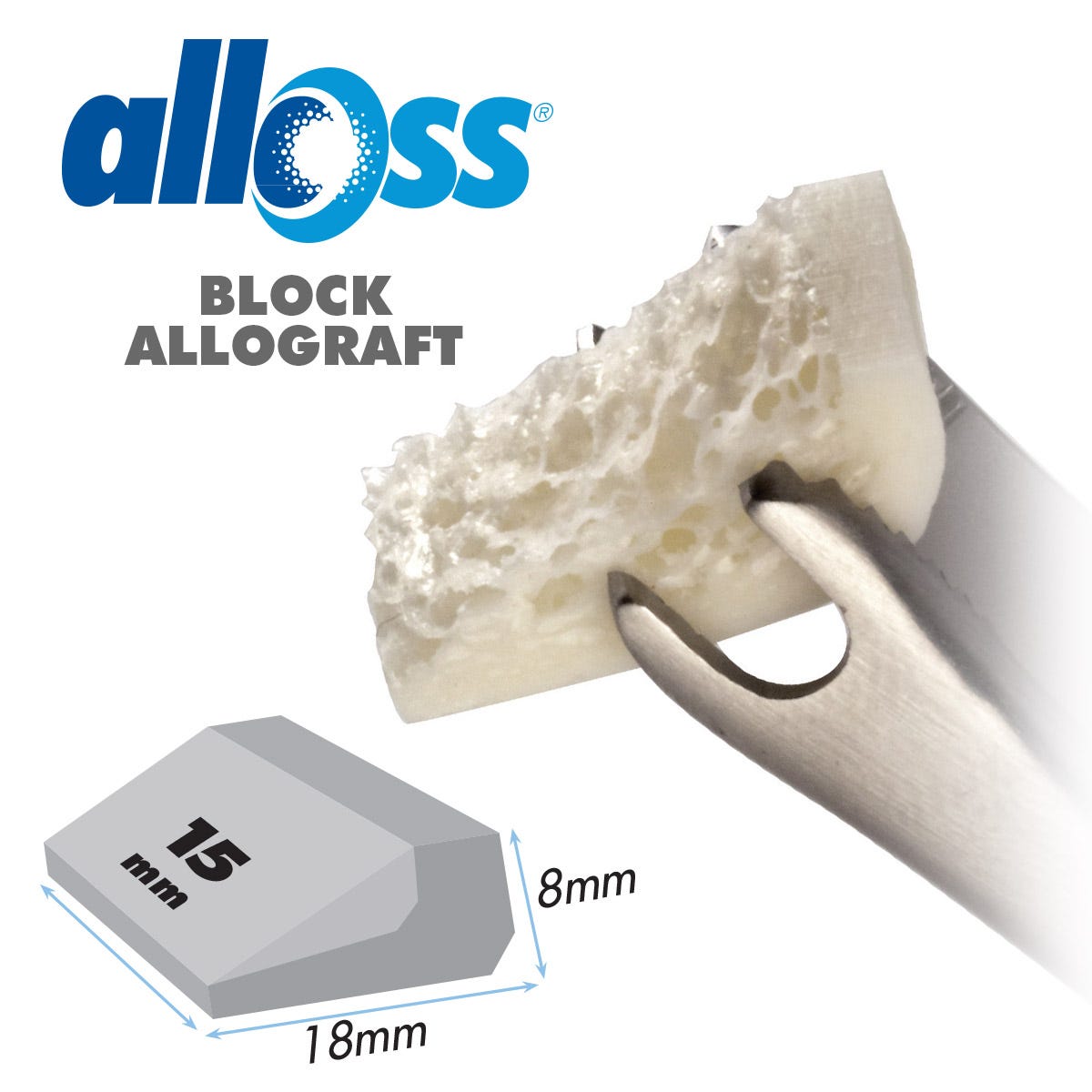 alloOss® Block Allograft   18 x 15 x 8mm