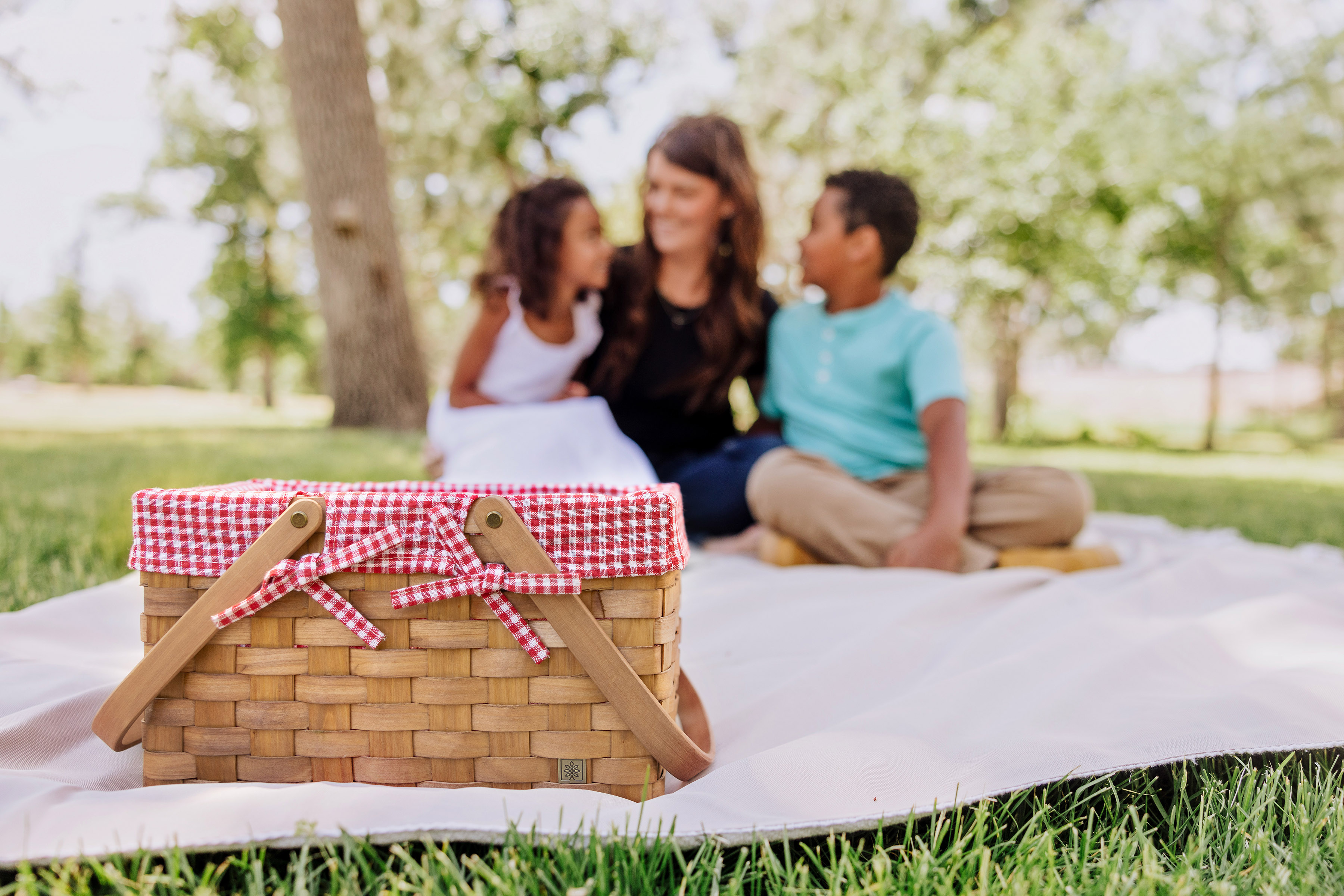 Farmhouse Basket - Red and White Gingham Basket Empty