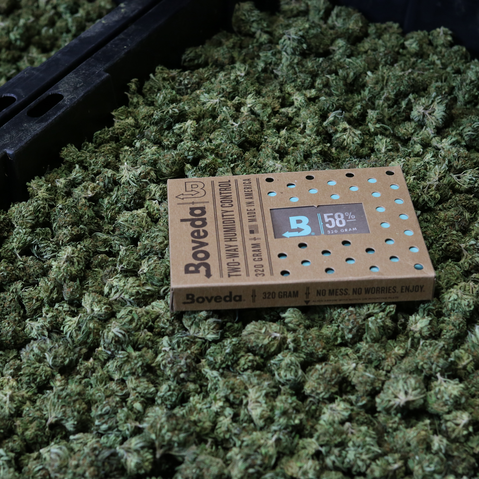B58 Cannabis KeepFresh
