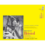 Strathmore 300 Series Bristol Pad Vellum Finish Tape Binding 20 Sheet 19x24  inch 1 Count