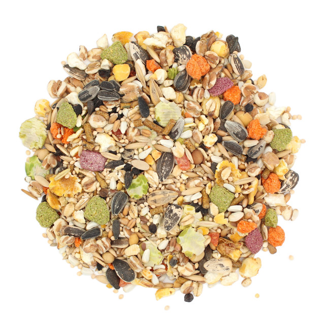 Raw-Image showing Menu Cockatiel