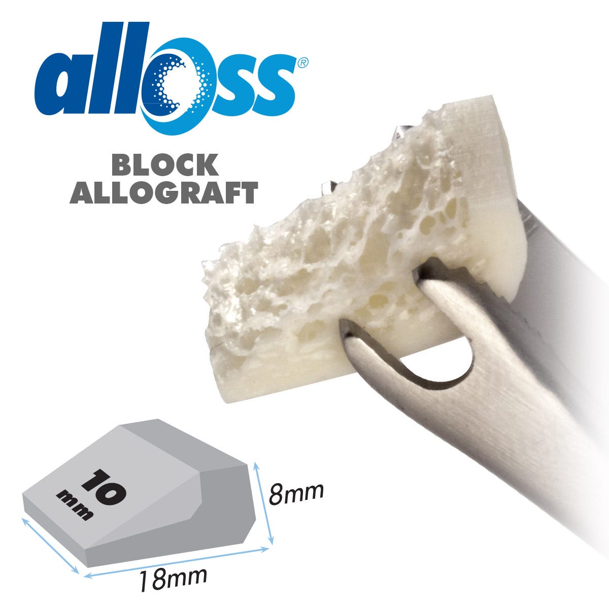 alloOss® Block Allograft   18 x 10 x 8mm