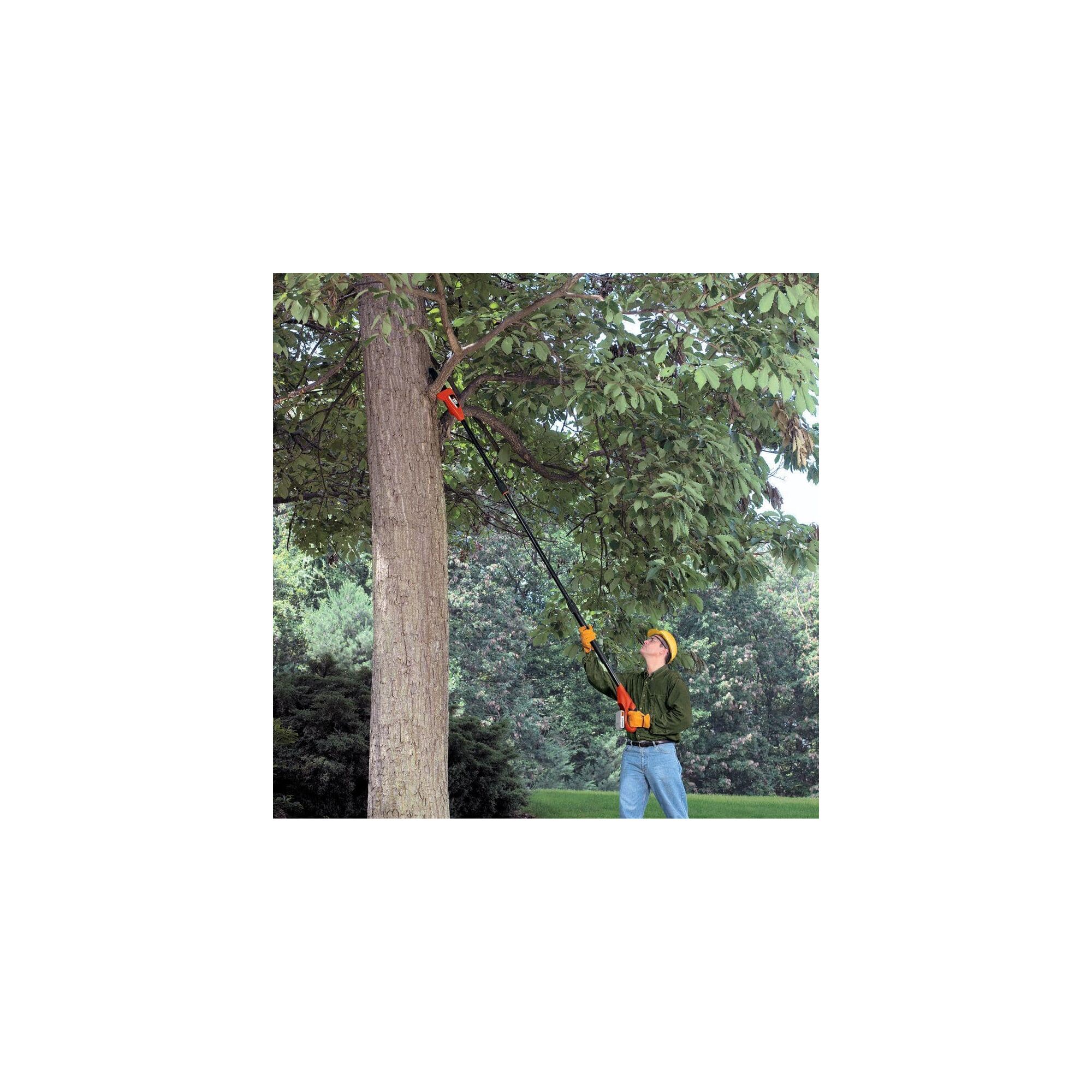 Man using Lithium Pole Pruning Saw to saw branches in a tree above.