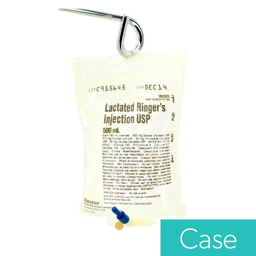 Lactated Ringer 500ml bag, injectable- 24/Case