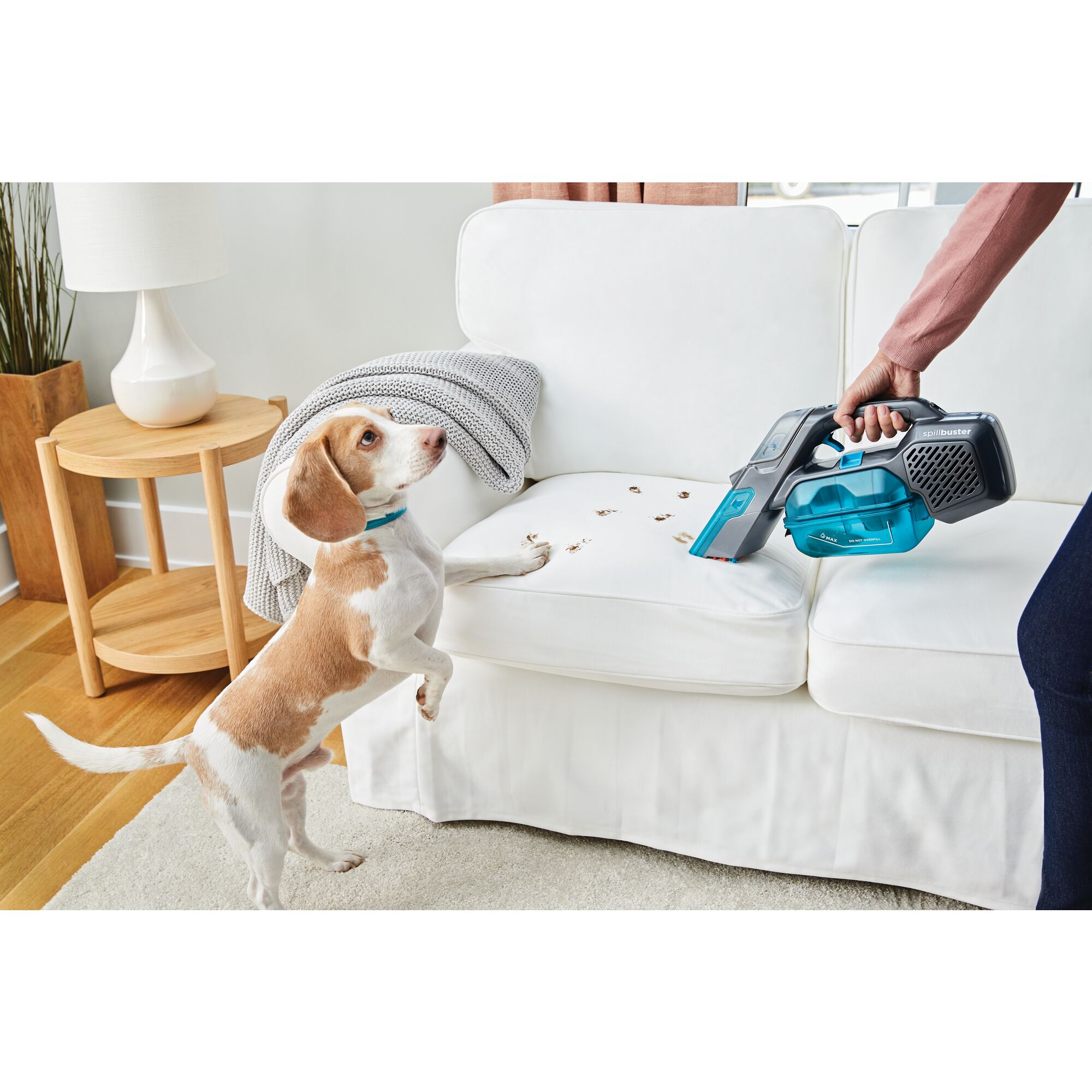 spill buster Cordless Spill plus Spot Cleaner being used to clean mud foot prints of dog from couch.