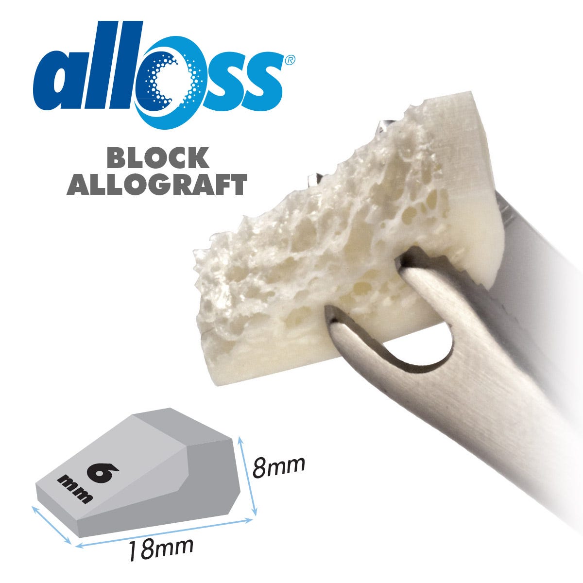 alloOss® Block Allograft   18 x 6 x 8mm