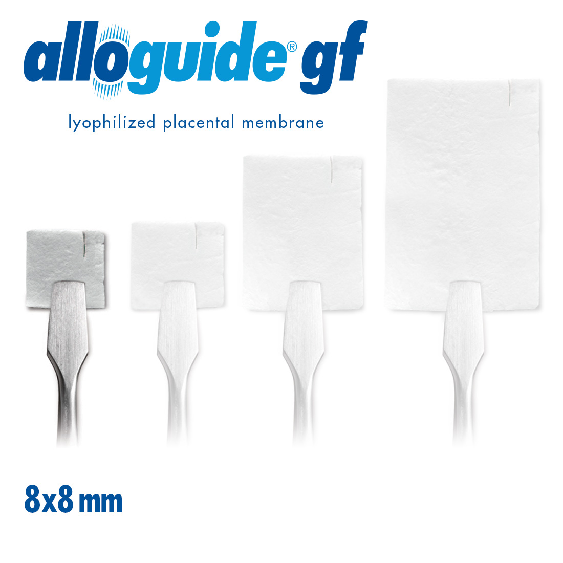 alloguide® gf   8 x 8mm Resorbable Lyophilized Placental Membrane