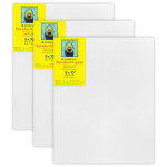 (3 EA) 300 GALRY STRETCH CANVS 8X10