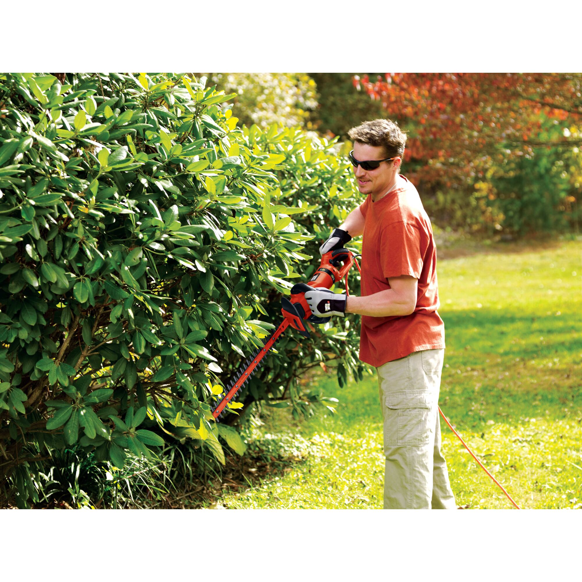 24 inch Hedge Trimmer with Rotating Handle being used for trimming bushes.