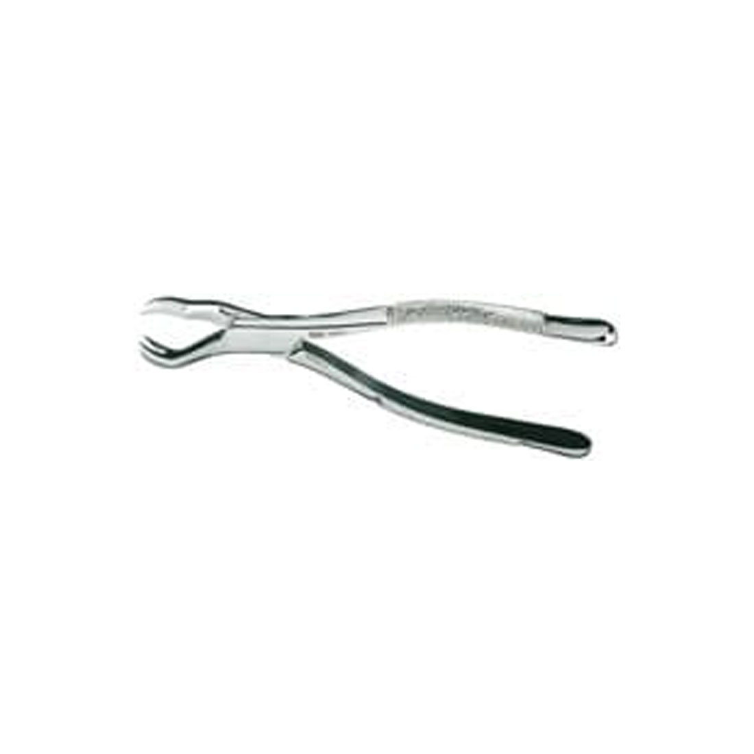 Extracting Forceps #88R