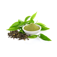 Green Tea Extract