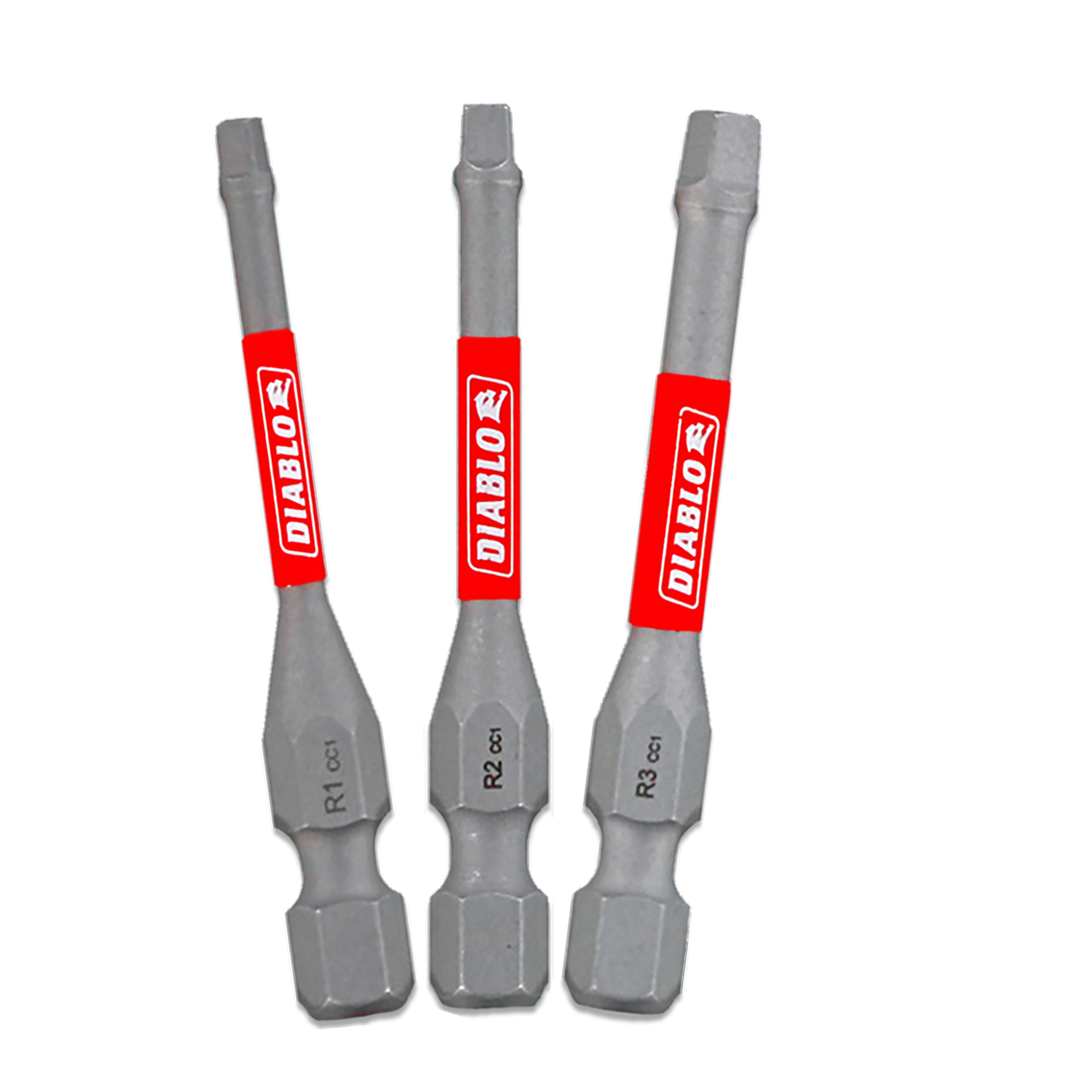2 in. Sq Drive Bit Assorted Pack