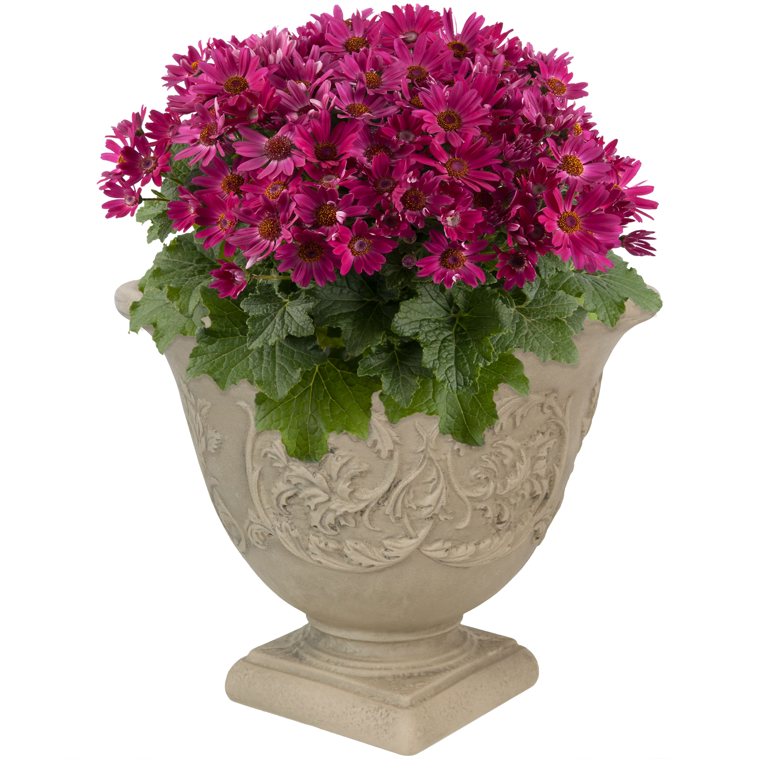 Sunnydaze Darcy Elegant Vines Indoor/Outdoor Planter Pot, 16-Inch Diameter, Pebble Grey, Single