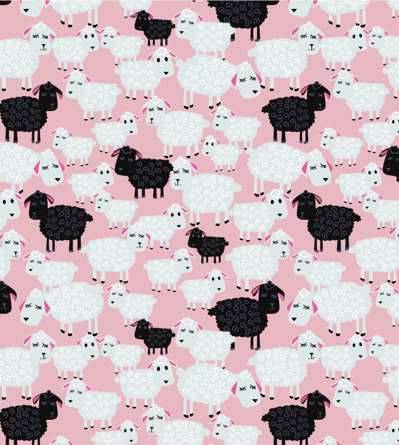 BAA BAA BLACK SHEEP (BBBS)