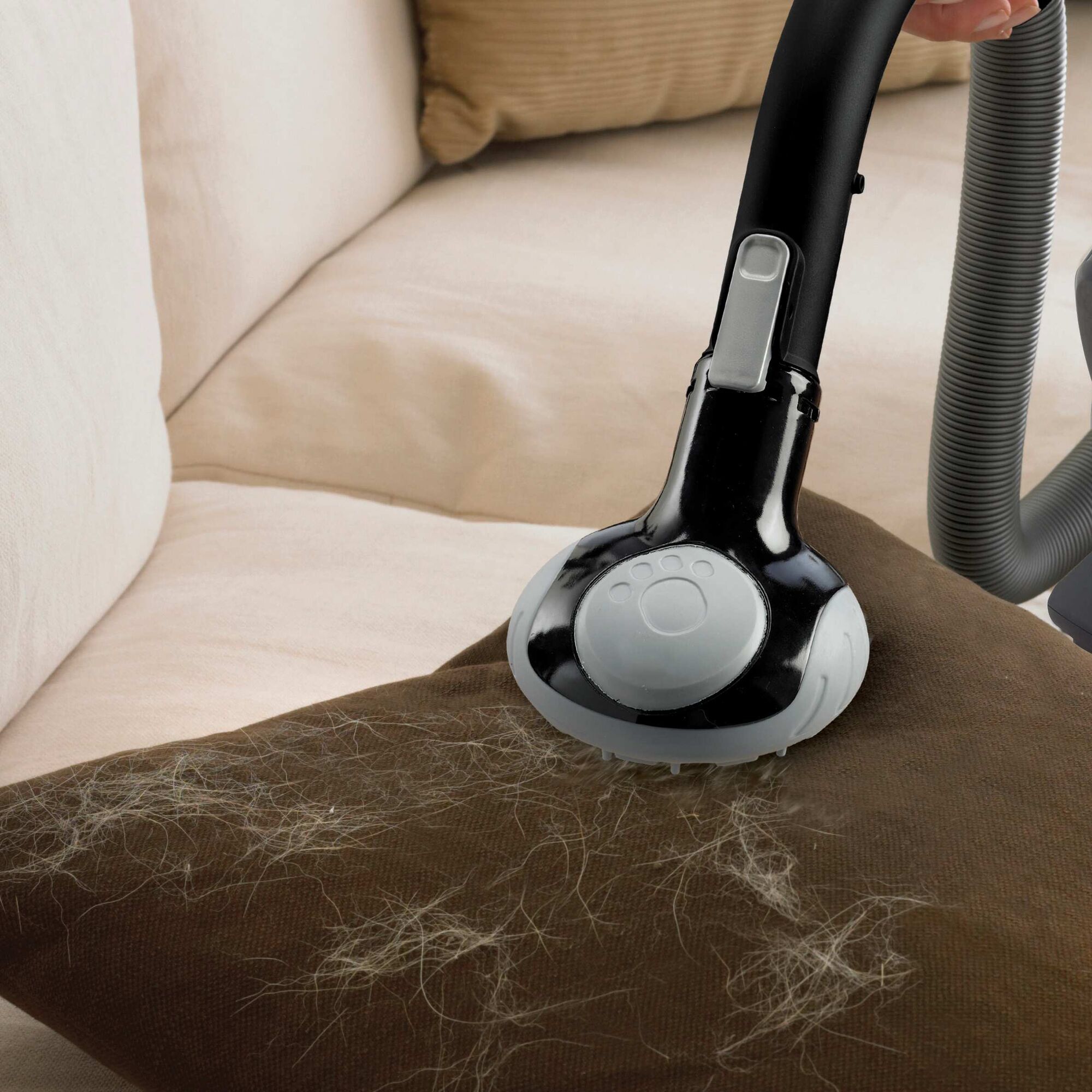 dust buster Flex Cordless Hand Vacuum being used to clean fur from couch cushions.