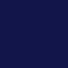 TRUE NAVY(TNAVY)