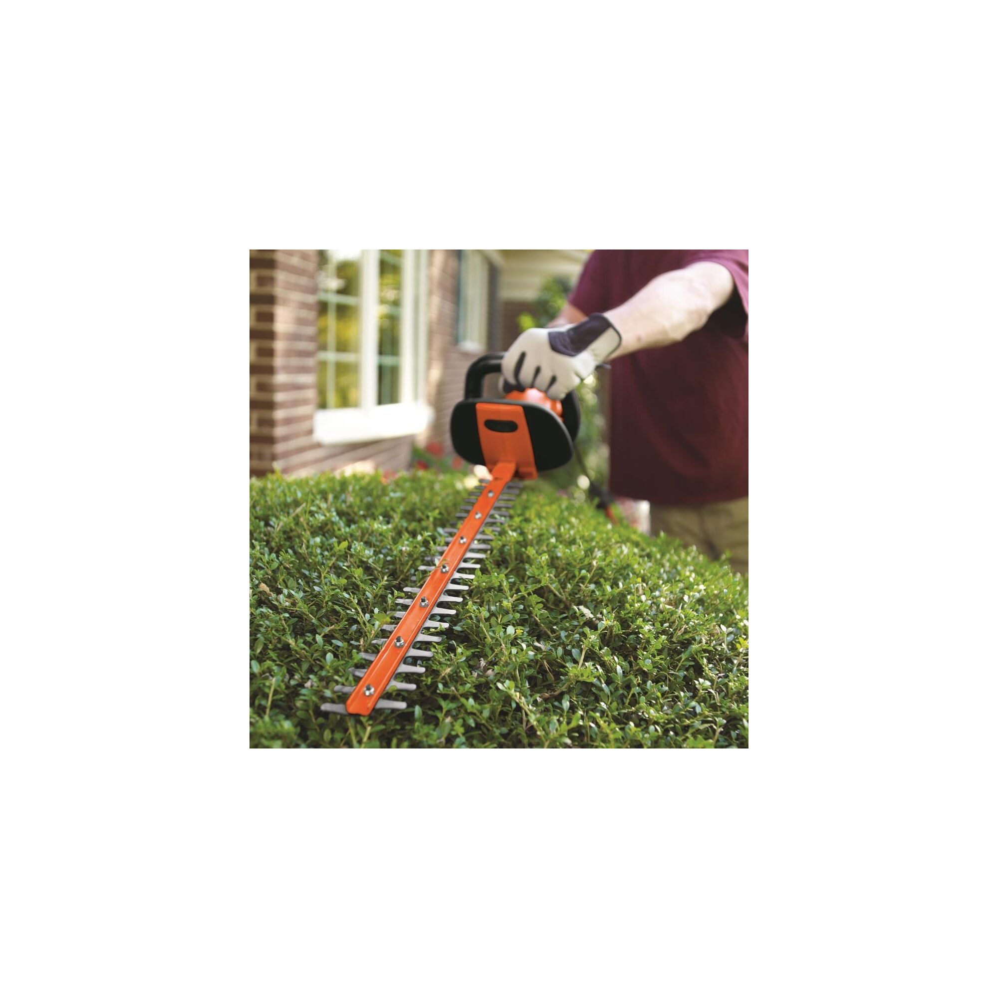 Person using hedge trimmer on bush outside a window