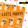 Llamas Greeting Card - Birthday, Thinking of You, Congratulations image