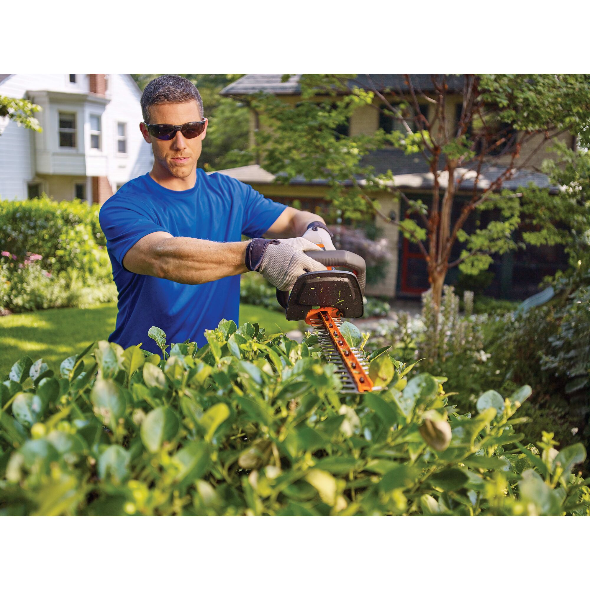 Man using 20 Volt Max 22 Inch Powercut Hedge Trimmer to trim top of bush.