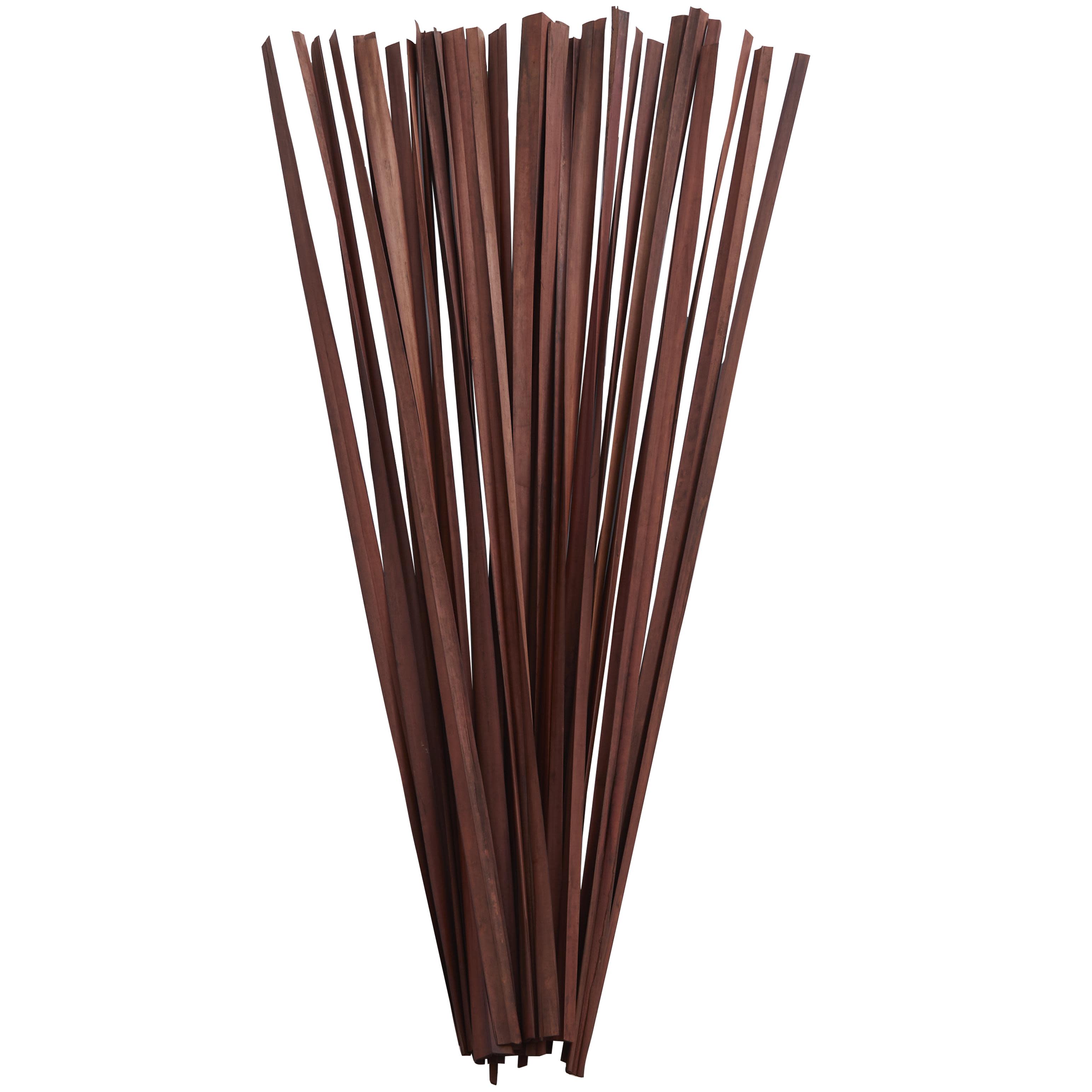 (Case of 24 )Dark Brown Dried Plant Sticks Tall Sticks Home Decor Natural Foliage with Slender Stems, 1\" x 1\" x 39\", 30 piece bundle