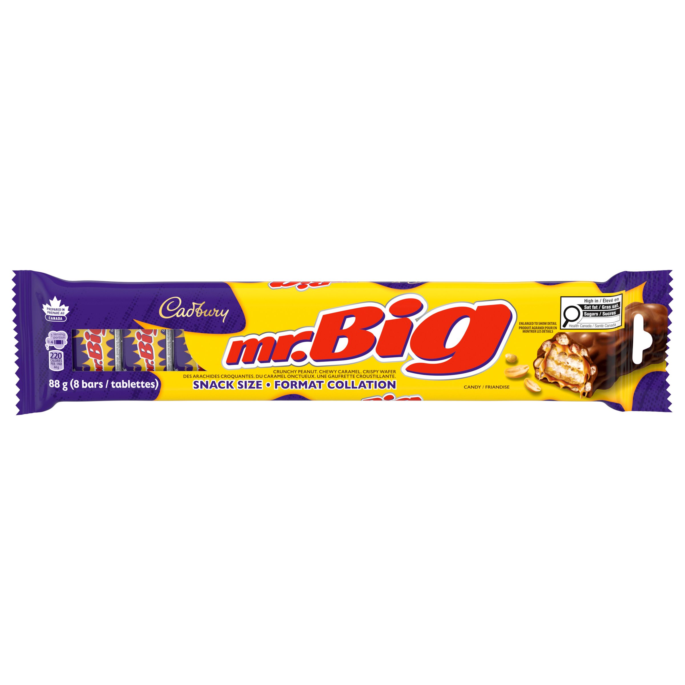 CADBURY MR. BIG Snack Size 8ct, 88 g-1