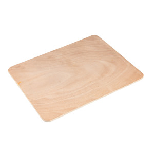 Solid Seat Insert Board, 19 x 15 Inches
