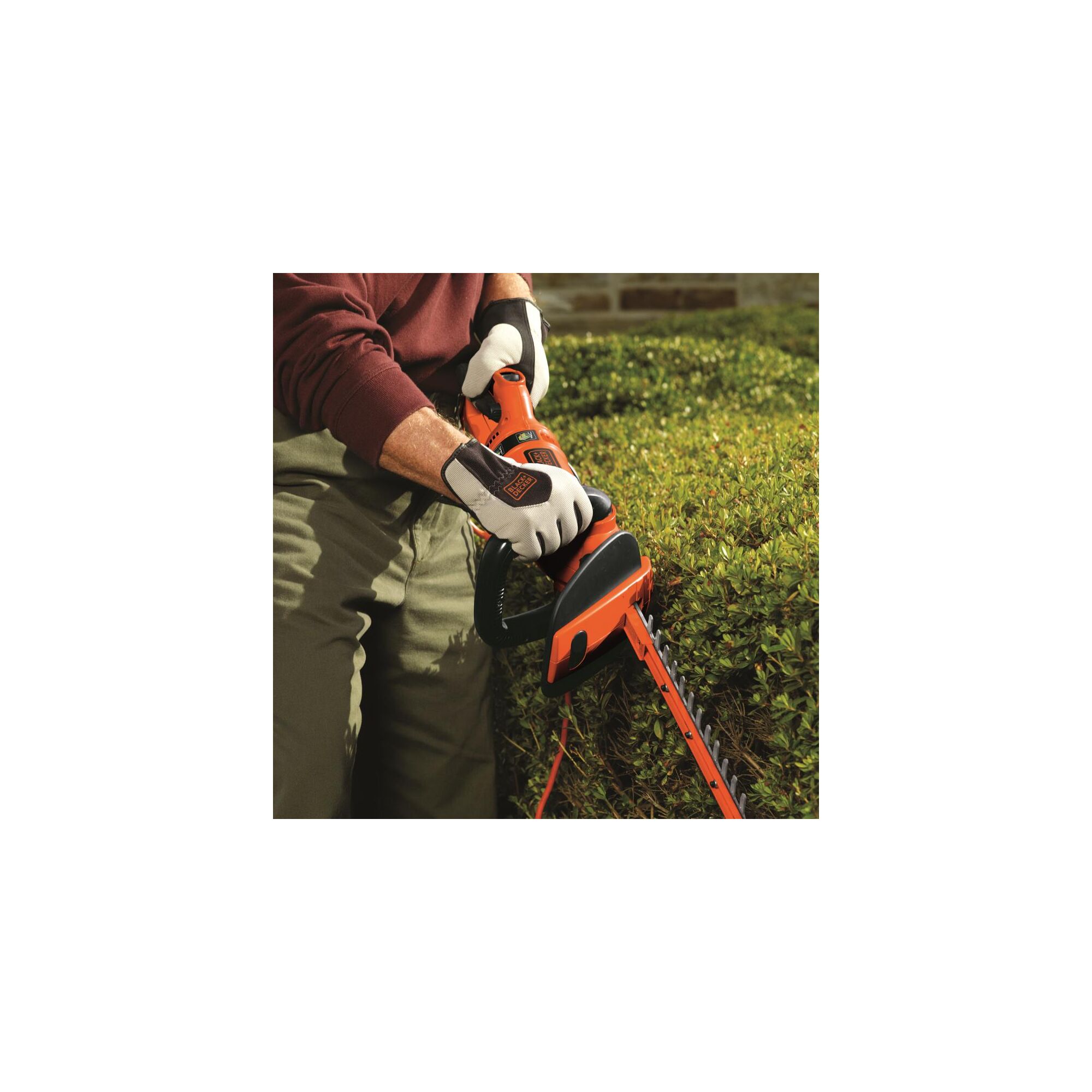 Woman using hedge trimmer on a bush