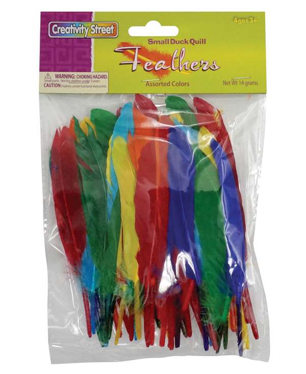 Duck Quill Feathers