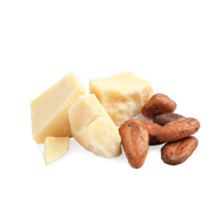 Cocoa Butter