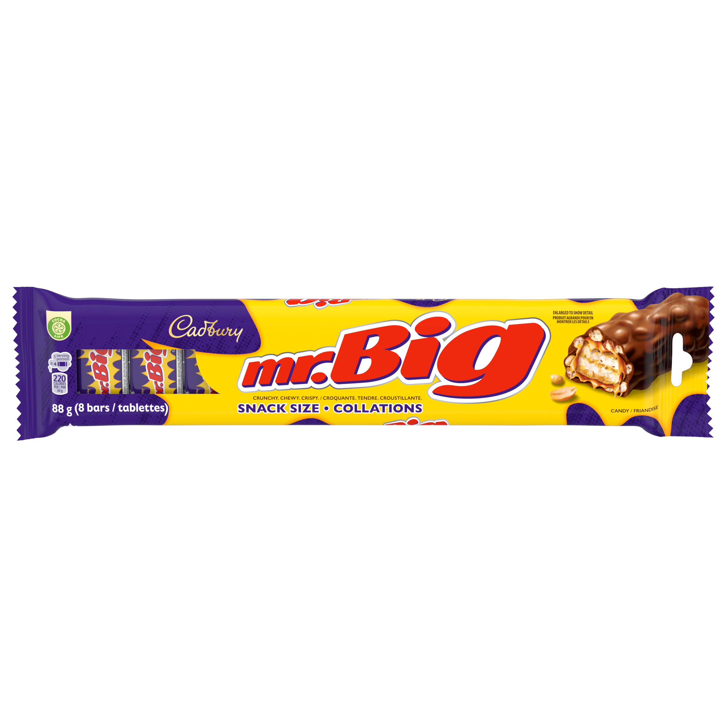 CADBURY MR. BIG Snack Size 8ct, 88 g-1