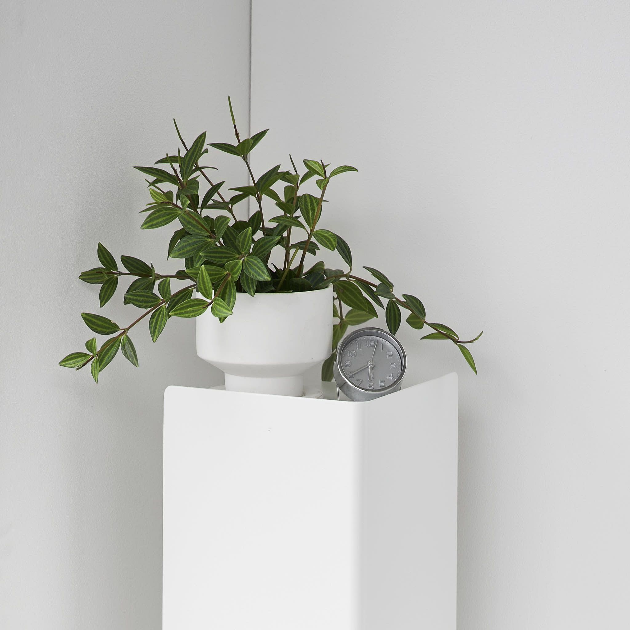 Slim Toilet Paper Stocker with Casters : Extra top storage