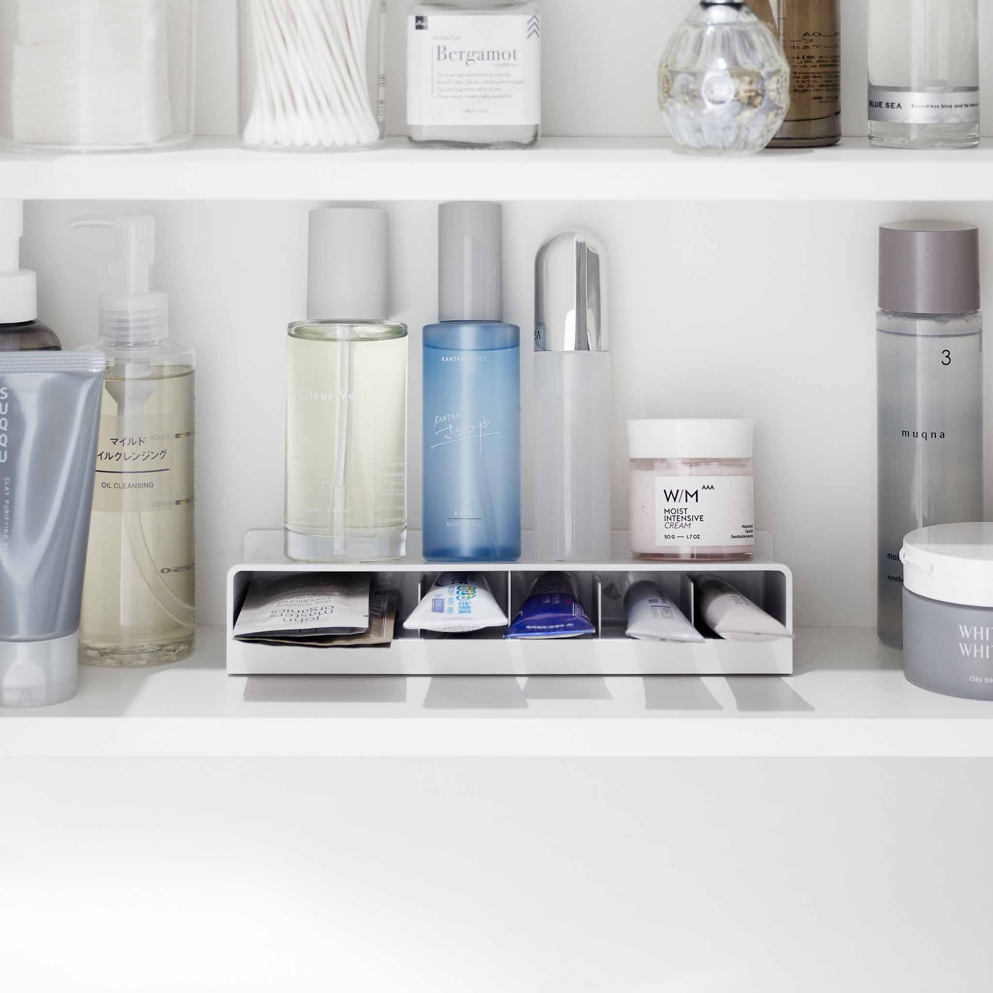 Slim Multi-Use Organizer : Five-Part Storage Layout