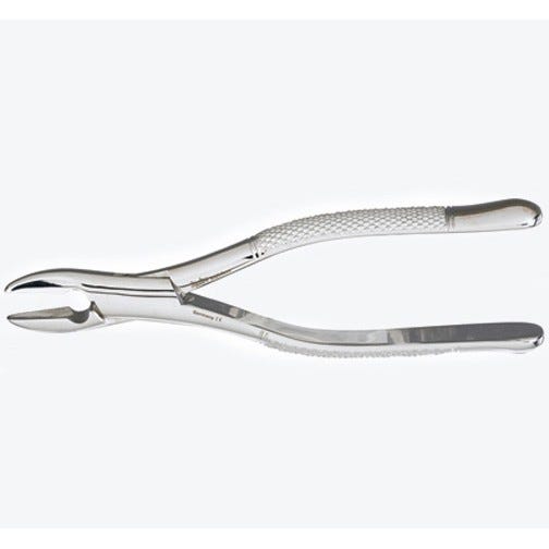 Extracting Forceps #1 Standard
