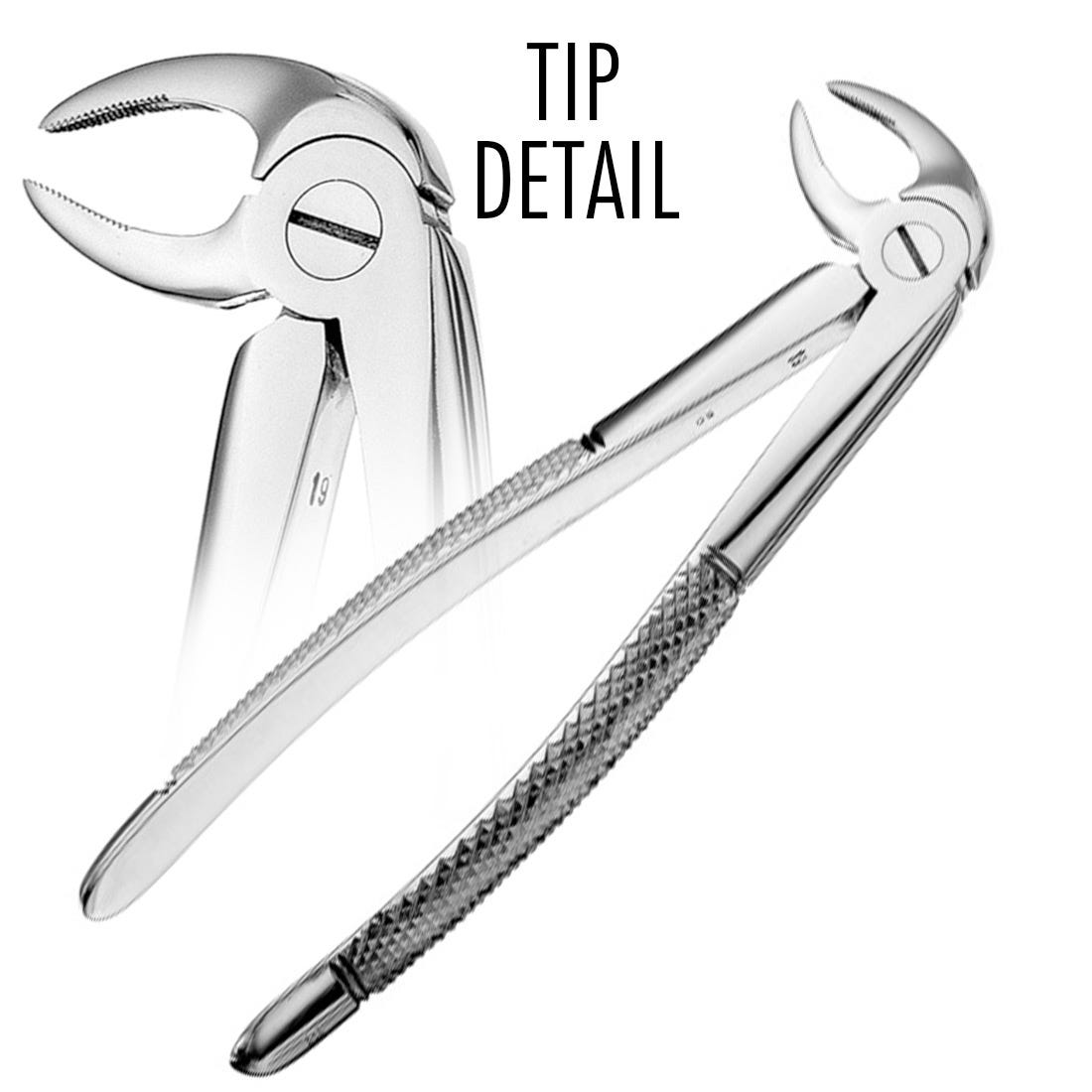 Hu-Friedy #FX33 Lower Root Forceps, Serrated