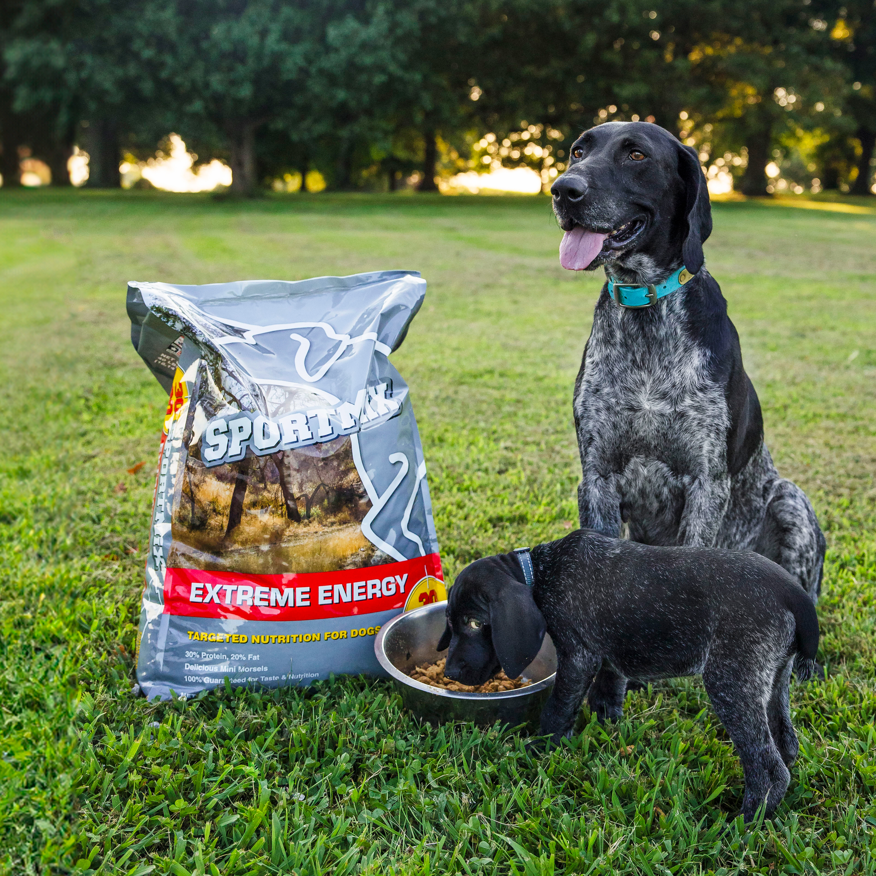 Photo of Product Bag