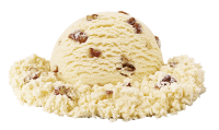Butter Pecan No Sugar Added Reduced Fat Ice Cream, 384 fl oz