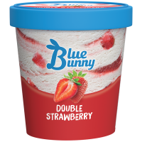 Double Strawberry Frozen Dessert, 14 fl oz