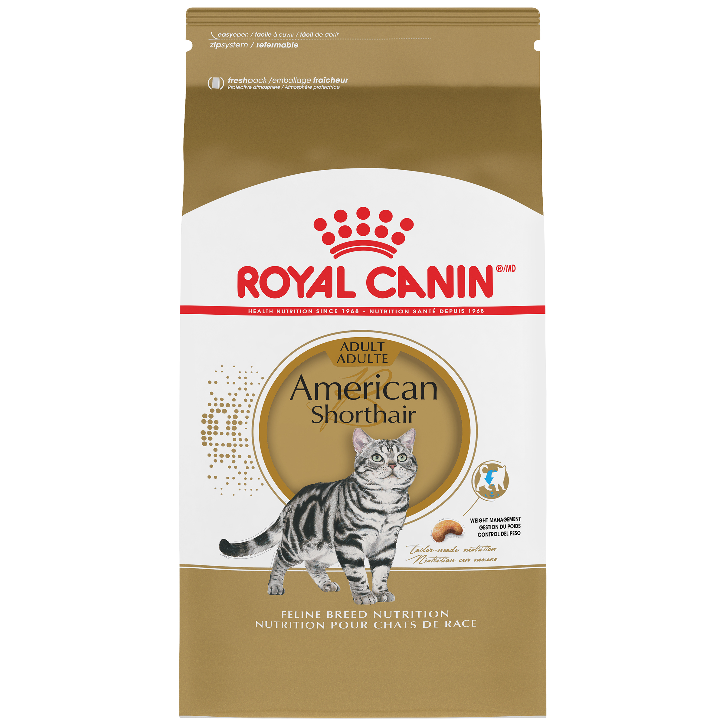 American Shorthair Dry Cat Food - Royal Canin