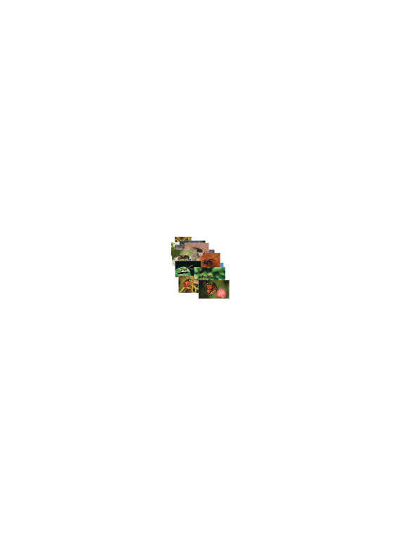 s--LTfoTMEV--/ftdplfqnvbzgrfcvpudn.jpg s--LTfoTMEV--/ftdplfqnvbzgrfcvpudn.jpg